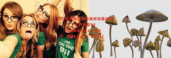 jwh Верея