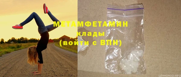 индика Володарск
