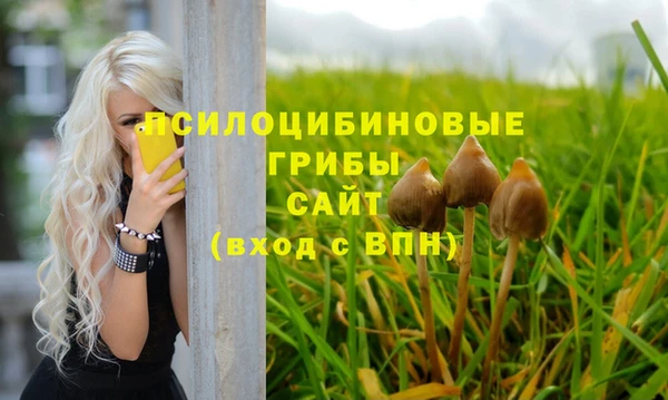 jwh Верея
