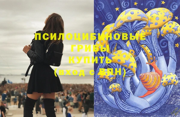 jwh Верея