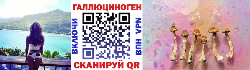 ОМГ ОМГ зеркало  Любим  Псилоцибиновые грибы мухоморы 